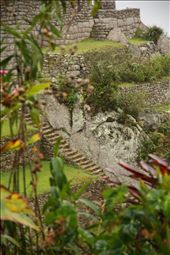 Inca Garden at Machu Picchu: by flashfury, Views[894]