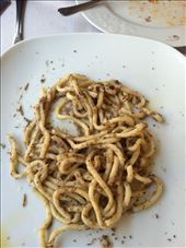 by flavorchaser, Views[206]