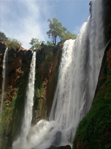 Strong. Impulsive. Rebellious. Making its own way!