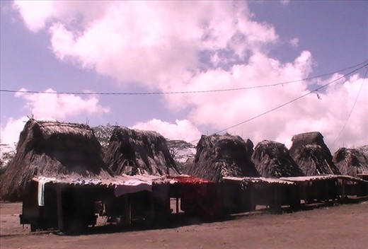 Ngadhu  - a home of female ancestor!