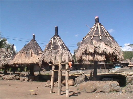 Bhaga - a symbol of male ancestor!