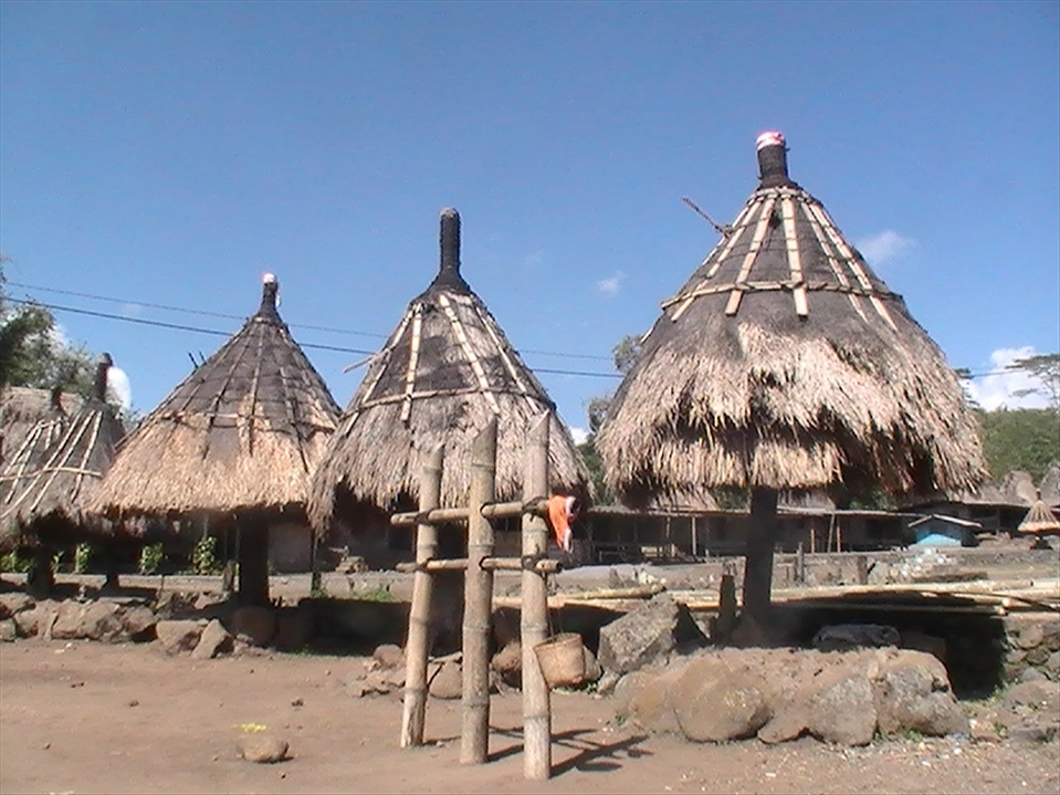 Bhaga - a symbol of male ancestor!