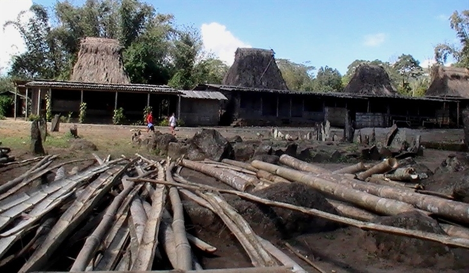 The kids who follow their steps back to home, again..