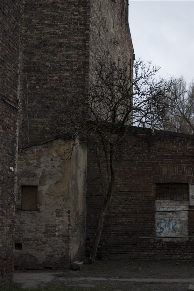 In Praga World War II damages weren’t  as severe as in other parts of the city, 