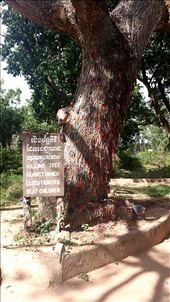 by floralicia_, Views[207]