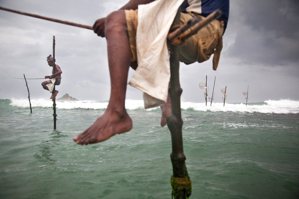 Stiltfishermen sit on their inherited poles in the bay of Ahangama and fish.