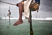 Stiltfishermen sit on their inherited poles in the bay of Ahangama and fish.: by florianmueller, Views[595]