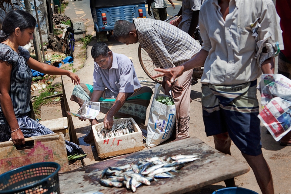Sunil Nishanti sells fish on the market of Ahangama, a small fishermens village.