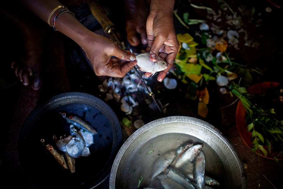 Fisherman´s daughter Shamila Nishanti prepares her father´s catch of the day.