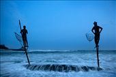 Anil Madushanka spots fish from a pole shortly after sunset.: by florianmueller, Views[495]