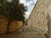 Looking back in history. One can only imagine all the history behind these stone walls, all the events that happened here, and all the people that walked this road.: by florin_daniel, Views[418]