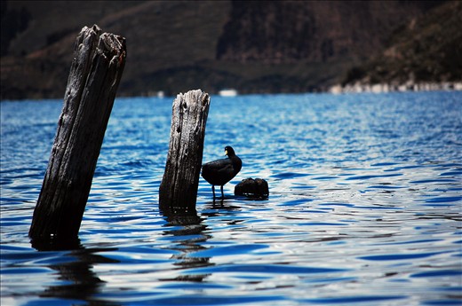 After long walks you can discover amazing oasis to enjoy nature.