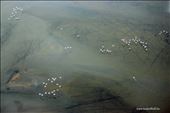 Flamingos over the Namib Coastline : by flying, Views[265]