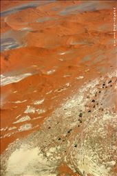 Set off point to conquer the Desert: by flying, Views[237]