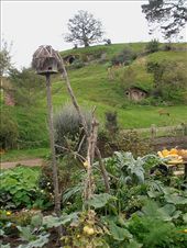 Looking up the hill toward Bag End: by flyingpiglet, Views[1981]