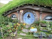 A cosy hobbit house and garden: by flyingpiglet, Views[6580]