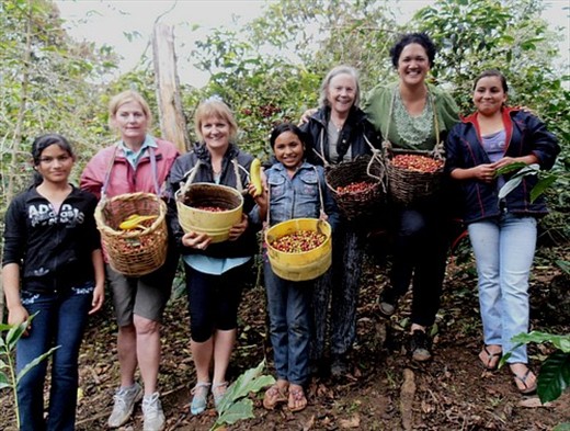 Coffee picking with the locals, Las Pirias