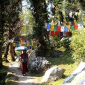 On the kora path: by flyingpiglet, Views[768]