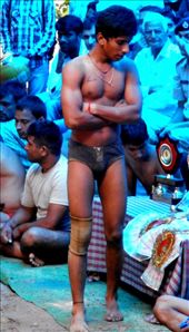 Eyeing up the prizes: by flyingpiglet, Views[562]