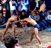 Getting to grips..: by flyingpiglet, Views[486]