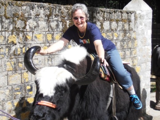 Taking the yak by the horns...