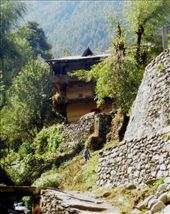 Goshal village, near Old Manali: by flyingpiglet, Views[1433]