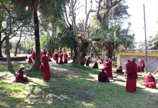 Debating under the trees.