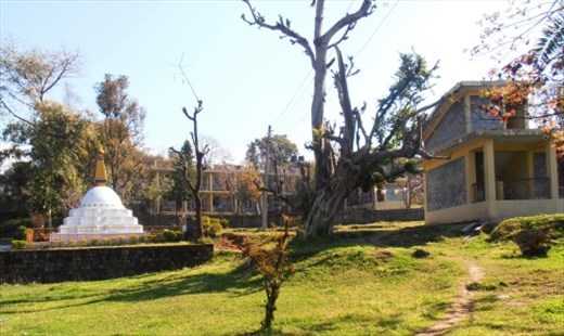 Stupa and nuns' accommodation.
