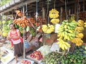 Sri Lanka has over 50 varieties of bananas: by flyingpiglet, Views[863]