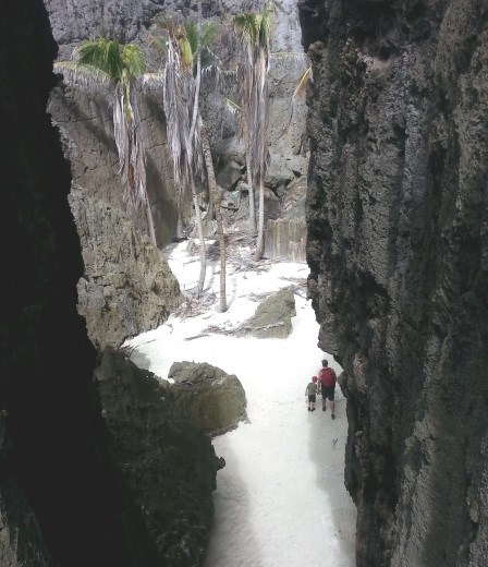 Togo Chasm. A little lost world.