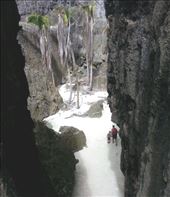 Togo Chasm. A little lost world.: by flyingpiglet, Views[366]