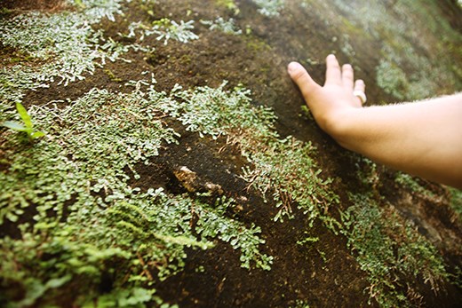 Feel The Energy of an Ancient Civilization.