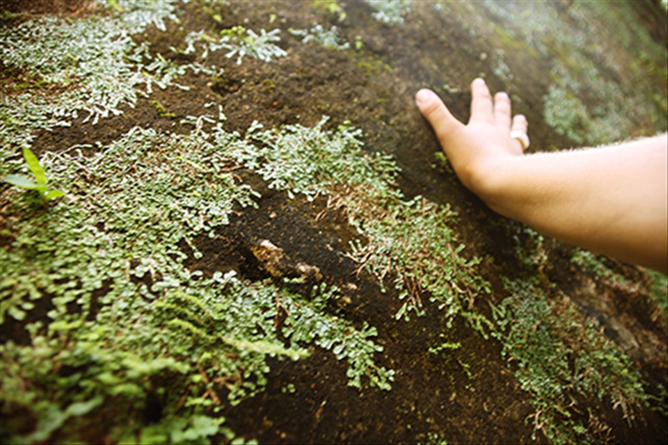 Feel The Energy of an Ancient Civilization.