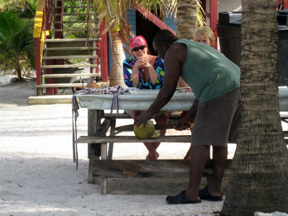 Learning the ways of Coconut, Glover's Reef, Belize