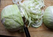 Finely slice the cabbage.: by foodlustpeoplelove, Views[265]