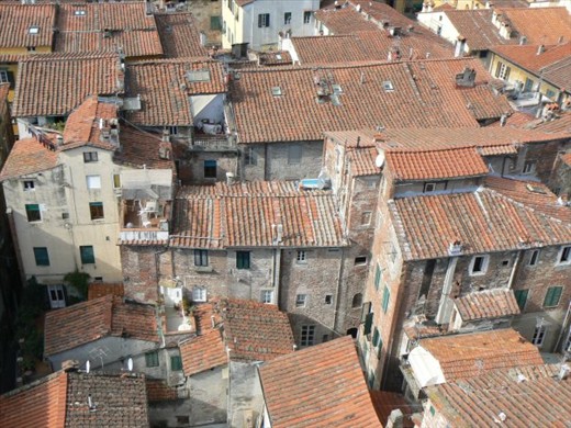 The rooftops of Lucca