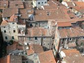 The rooftops of Lucca: by foodsasmedicine, Views[297]