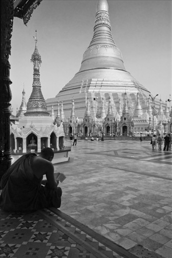 A monk studies Bhuddist scripture at the Shwedagon Pagoda in Yangon. 