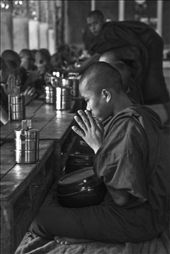 A novice monk prays before the midday meal, Kalaywa Tawya Monastery, Yangon.: by fosterfoto, Views[841]