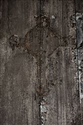 by fotofolle, Views[226]