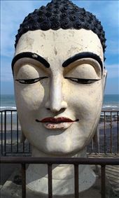 by fotographer, Views[256]