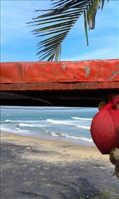 by fotographer, Views[229]