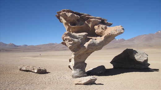 Even nature isn’t really natural: a tree made of rock.