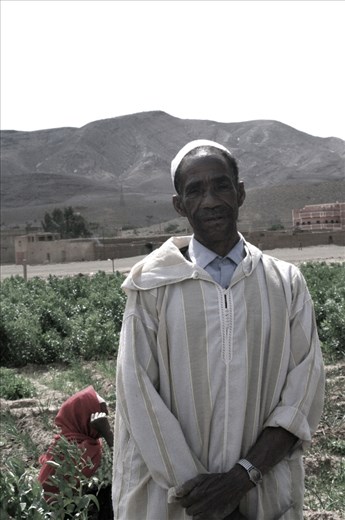 A landlord and His watch. His wife and her shyness.