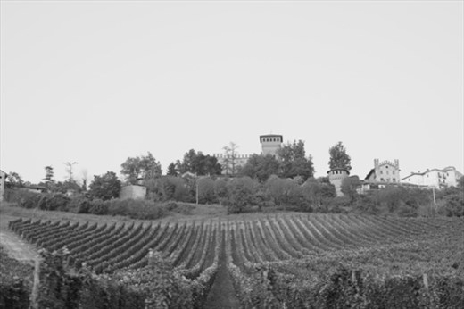 GABIANO CASTEL IS ONE OF MANY CASTLES IN PIEDMONT REGION, WHICH IS FULL OF SMALL HAMLETS SURROUNDED BY HILLS AND VINEYARDS. GABIANO CASTEL RESTORATION WAS COMPLETED IN 1935, BY MEANS OF MARQUISE MATILDE DURAZZO PALLAVICINI, MEMBER OF GIUSTINIANI PRICNES.