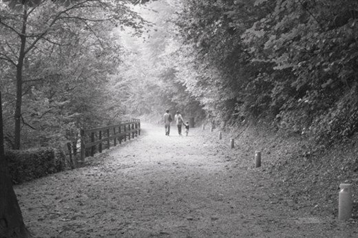 A FAMILY WALK IN SACRO MONTE DI CREA PARK, LOCATED ON ONE OF THE HIGHEST PART OF BASSO MONFERRATO HILLS. THE SACRALIZATION OF THIS HILL IS PROBABLY DUE TO SAINT EUSEBIO, VERCELLI BISHOP. THE LEGEND SAYS THAT IN FOURTH CENTURY THE SAINT ESCAPED FROM ARIANI PERSECUTION, TAKING REFUGE IN THIS PLACE, AND THUS MOVING HERE ALSO A STATUE OF THE VIRGIN.