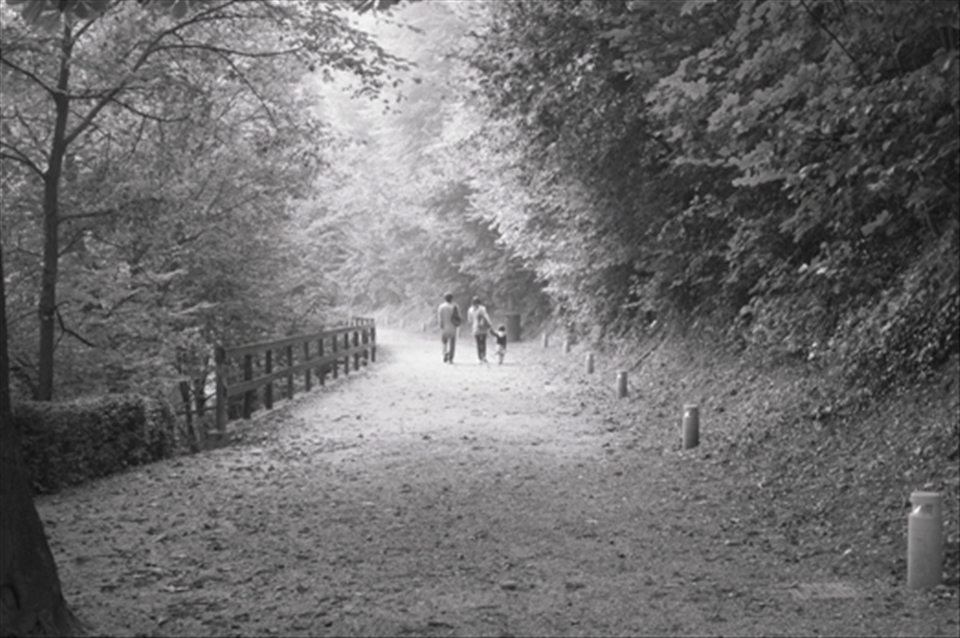 A FAMILY WALK IN SACRO MONTE DI CREA PARK, LOCATED ON ONE OF THE HIGHEST PART OF BASSO MONFERRATO HILLS. THE SACRALIZATION OF THIS HILL IS PROBABLY DUE TO SAINT EUSEBIO, VERCELLI BISHOP. THE LEGEND SAYS THAT IN FOURTH CENTURY THE SAINT ESCAPED FROM ARIANI PERSECUTION, TAKING REFUGE IN THIS PLACE, AND THUS MOVING HERE ALSO A STATUE OF THE VIRGIN.