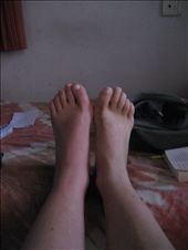 25 Jun: by franci333, Views[185]