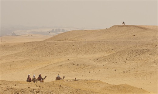 Giza Camel Riders: Could almost be an image of 2000 years ago.