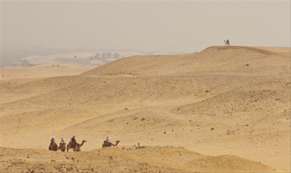 Giza Camel Riders: Could almost be an image of 2000 years ago.
